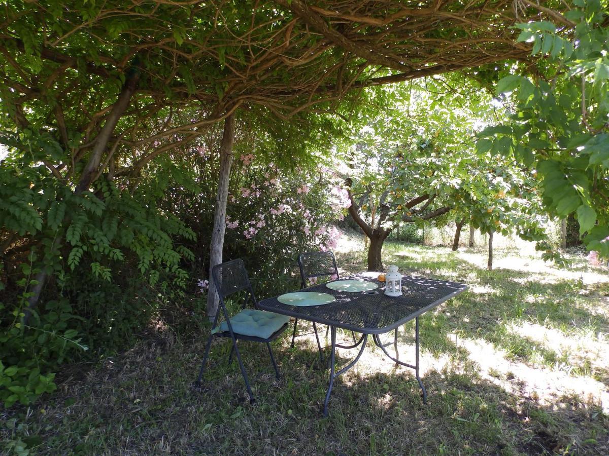 Casa Marju Guest House Montemassi Bagian luar foto