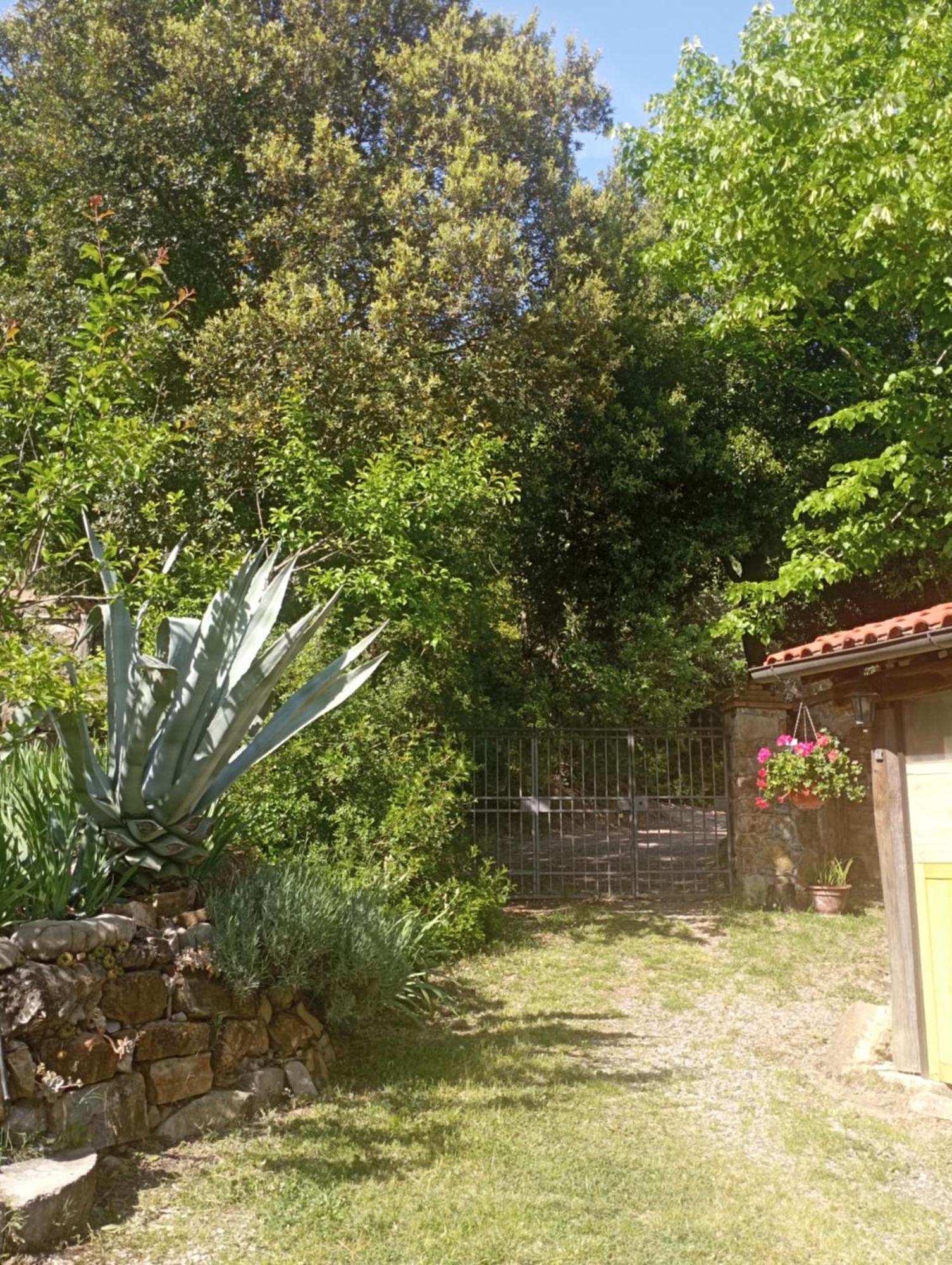 Casa Marju Guest House Montemassi Bagian luar foto